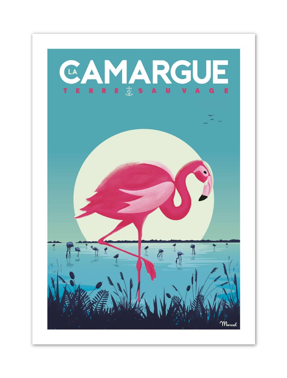 MB57024 Camargue-Flamingos