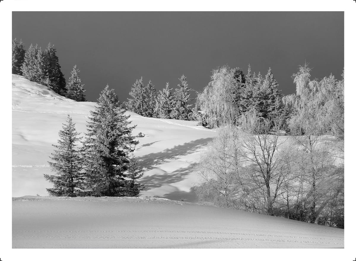 Set Sapin et neige_NB-3